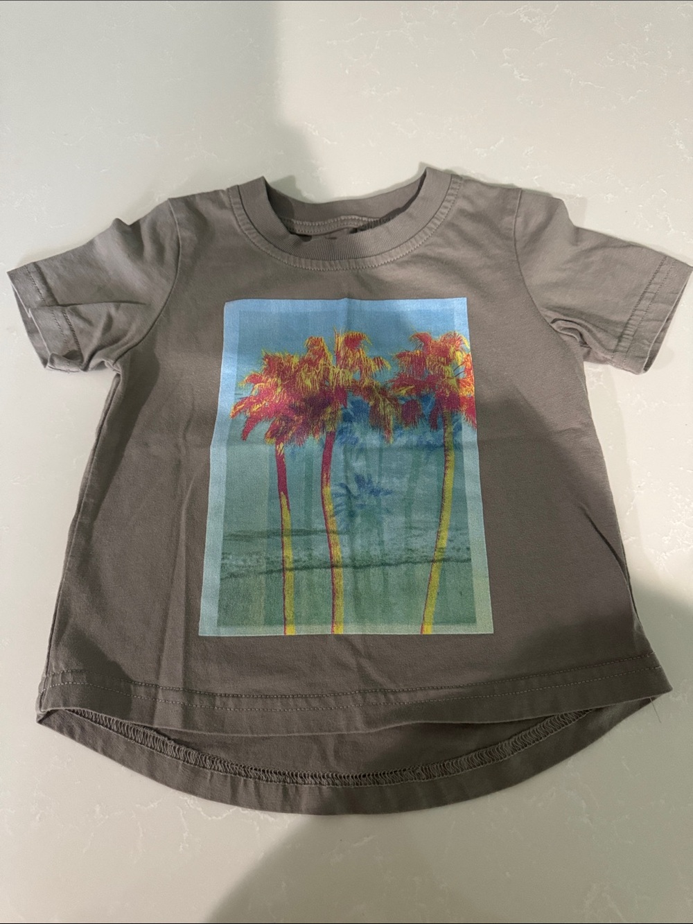 Little Bipsy Gray Tee with Colorful Palm Graphic